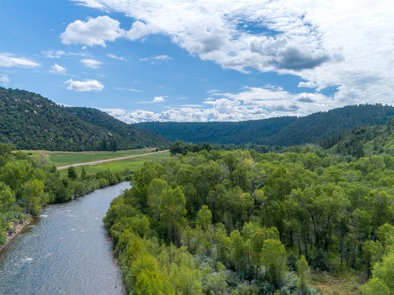 17 Acres Private River Frontage : Dolores : Montezuma County : Colorado