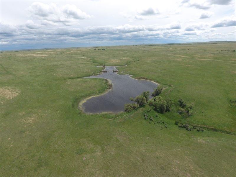 10,771 Prime Acres on Flint Creek : Faith : Meade County : South Dakota
