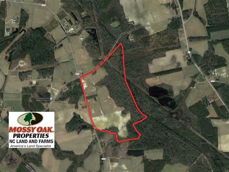 157 Acres of Farm And Hunting Land Land for Sale in Fair Bluff