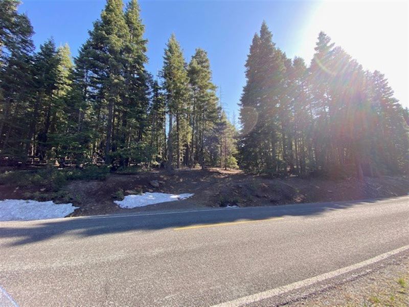California Pines Vacant Lot Land for Sale in Alturas, Modoc County