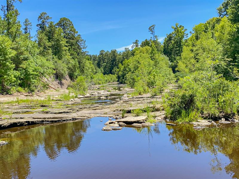 648 Acres Fountain Creek T-311002 : Trinity : Trinity County : Texas