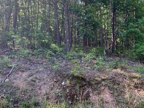 Look for The Rainbow : Rio : Hampshire County : West Virginia