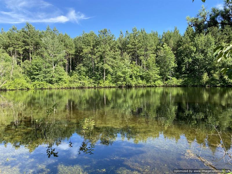 Beautiful Acreage with Water Views : Brookhaven : Lincoln County : Mississippi