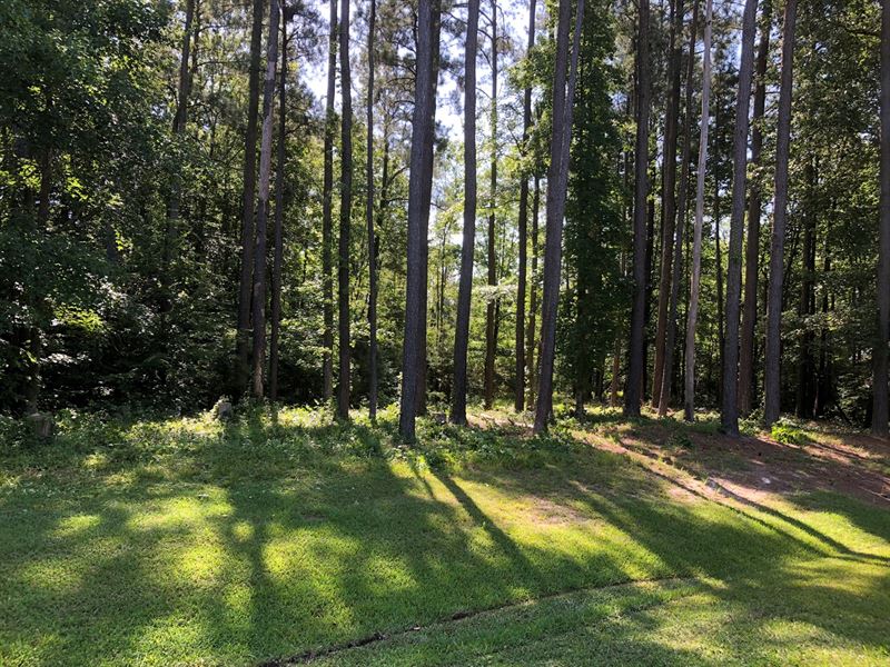 Golf Course Lot Albemarle : Hertford : Perquimans County : North Carolina
