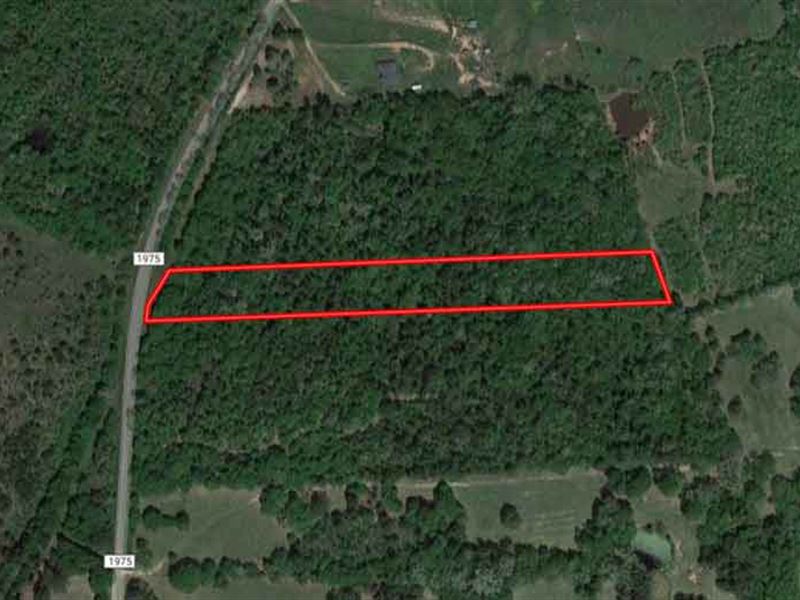 4.89 Acres in Camp County, Texas : Pittsburg : Camp County : Texas