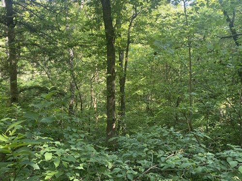 10 Ac Secluded In The Ozarks : Dora : Ozark County : Missouri