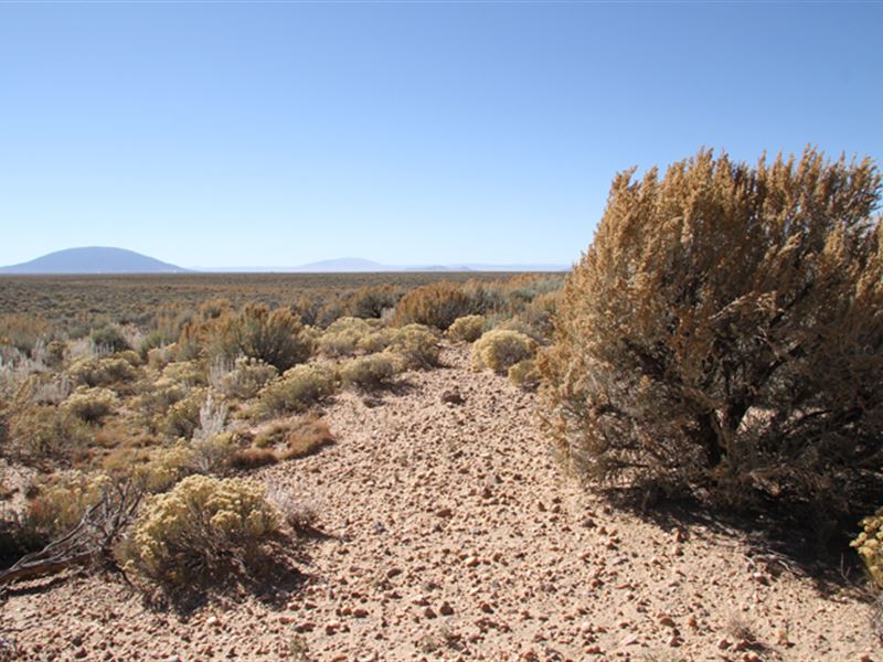 2.5 Acres, Costilla Colorado : San Luis : Costilla County : Colorado