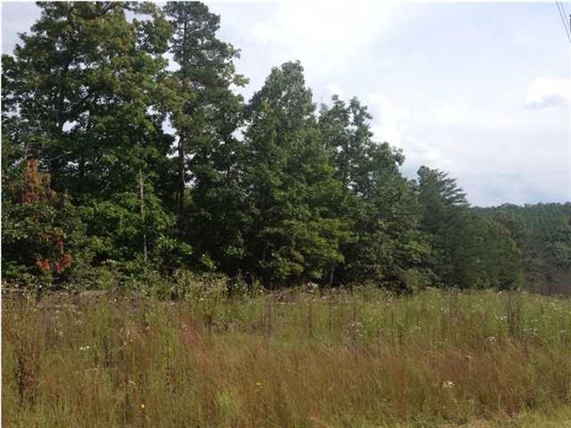 5.00+/-Acres Nice Wooded Tract : South Pittsburg : Marion County : Tennessee