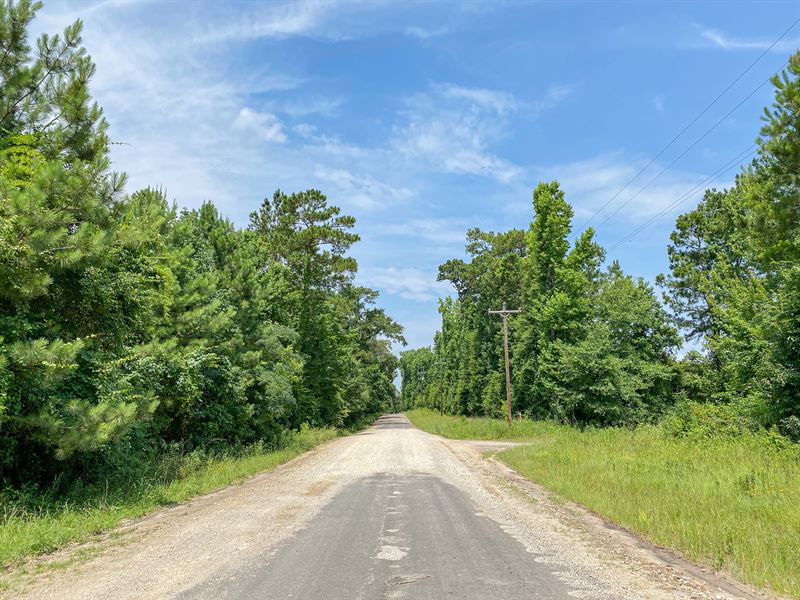 113 Acres T-6 Red Hollow : Leggett : Polk County : Texas