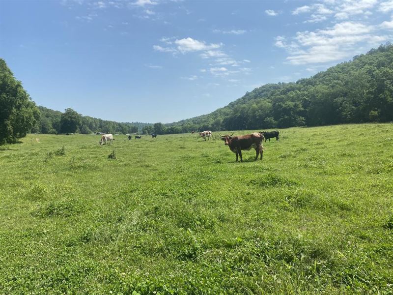 Land with 2 Homes In The Ozarks Land for Sale in Dora, Ozark County