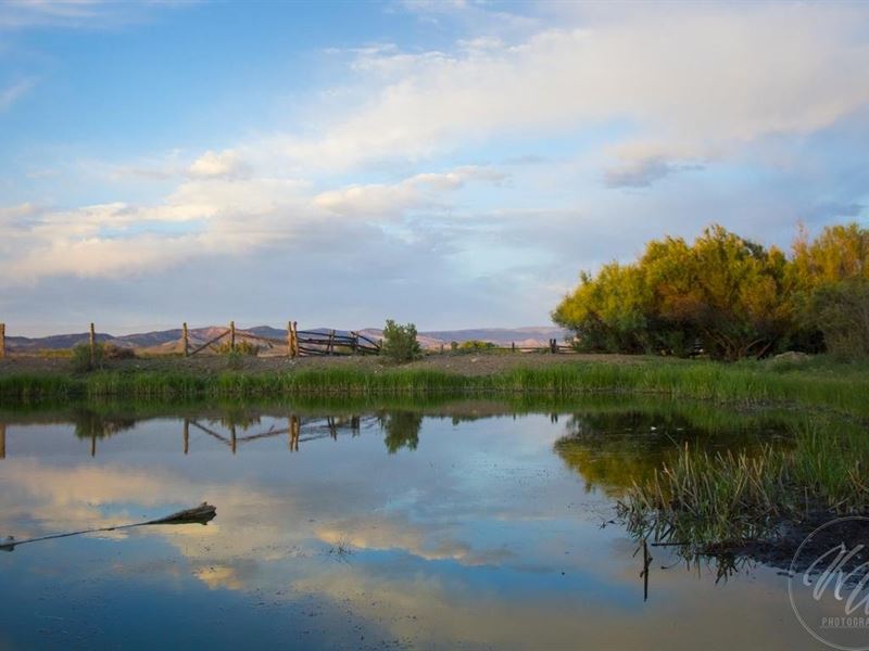 Suckla Ranch : Egnar : San Miguel County : Colorado