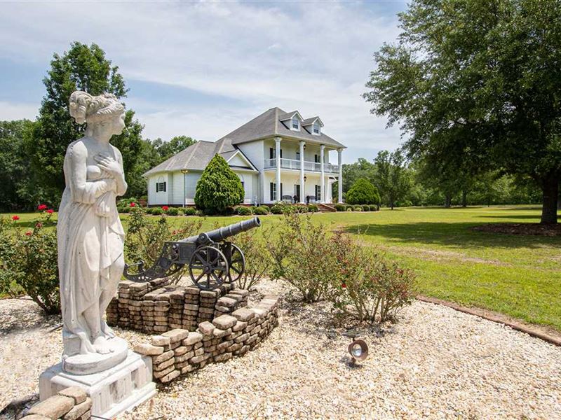 Pecan Plantation For Sale in Glenn Land for Sale in Glennville