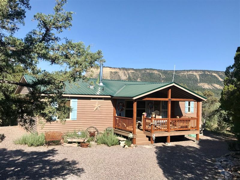 Cabin Land Bordering El Vado Lake : Rutheron : Rio Arriba County : New Mexico