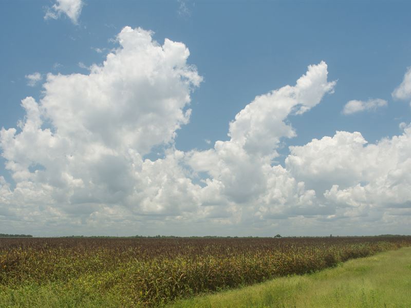 Section 21, Florida Ag Portfolio : Vero Beach : Indian River County : Florida