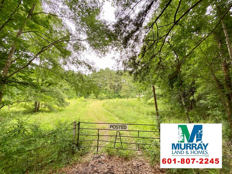 Great Land On Hwy 48 Centreville MS : Centreville : Amite County : Mississippi