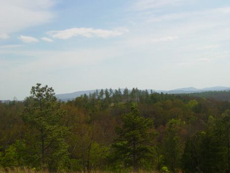 756 +/- Acres : Jasper : Pickens County : Georgia