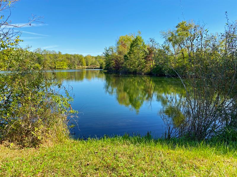 Hunting Land & Pond with Home Site : Brazil : Clay County : Indiana