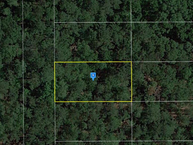.25 Acre in Suwannee County, FL : Live Oak : Suwannee County : Florida