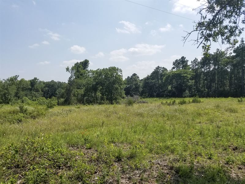 11 Acres Tract 1 Nelson Creek Bend : Huntsville : Walker County : Texas