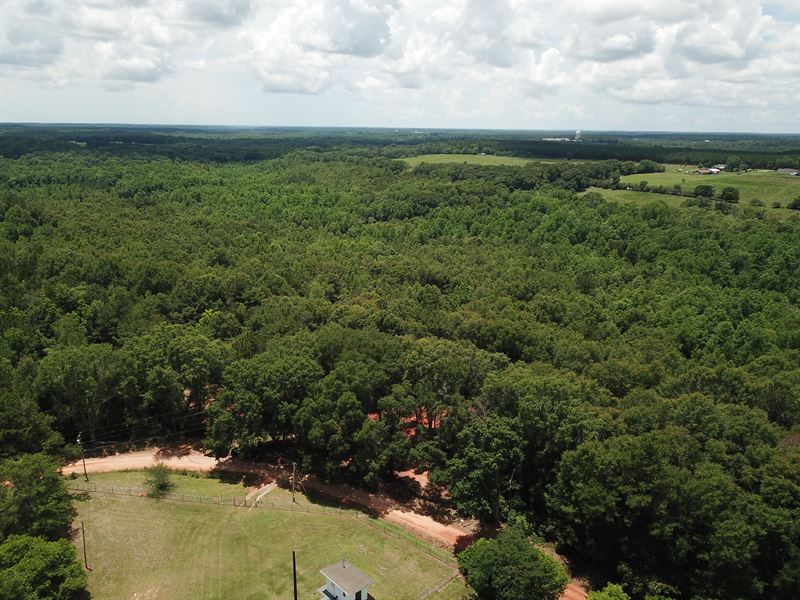 26.5 Ac, Coffee Cnty, CR 626 Tract : Enterprise : Coffee County : Alabama