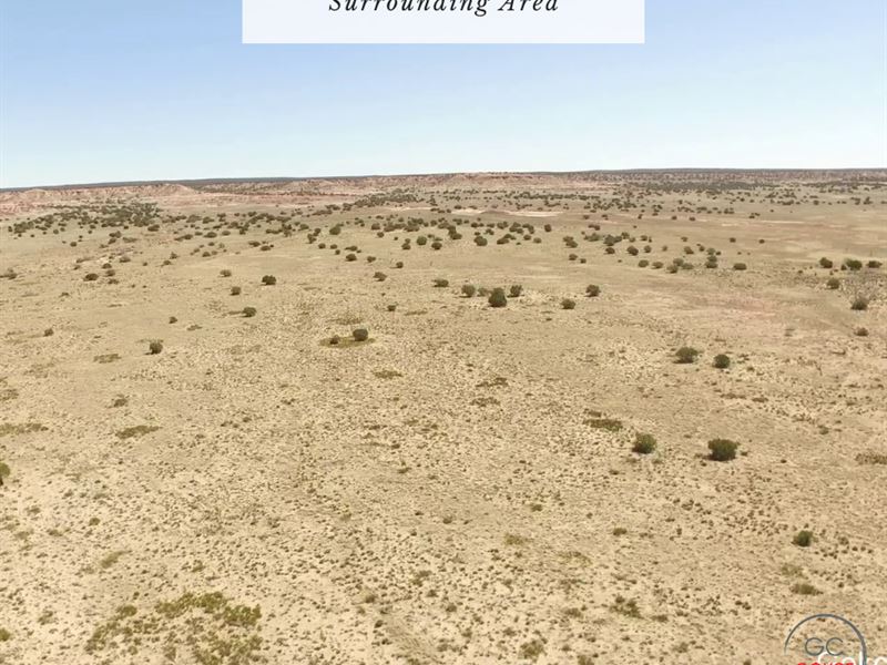 5 Acres Only $1Dn, $199/Mo : Holbrook : Navajo County : Arizona