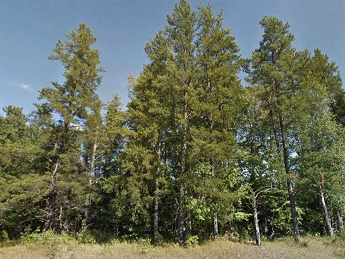 Residential Lot with Trees : Menahga : Wadena County : Minnesota