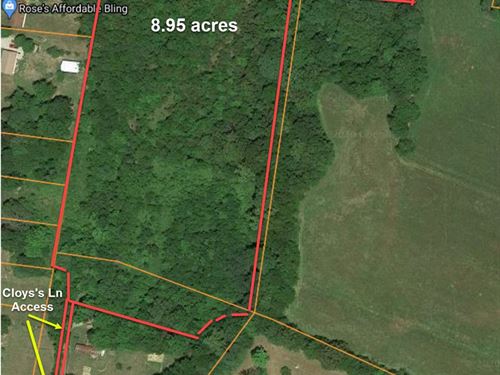 Wooded Land, Potential Home Site : Summer Shade : Metcalfe County : Kentucky