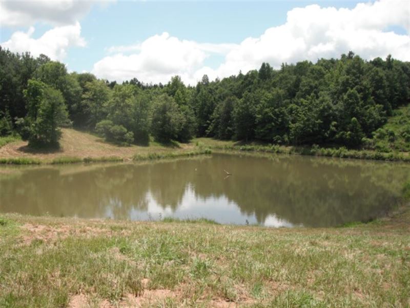 Secluded Acreage with Pond Land for Sale in Carlisle, Chester County
