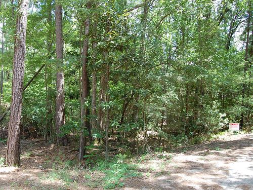 Beautiful Treed Lot Near Lake : Browndell : Jasper County : Texas