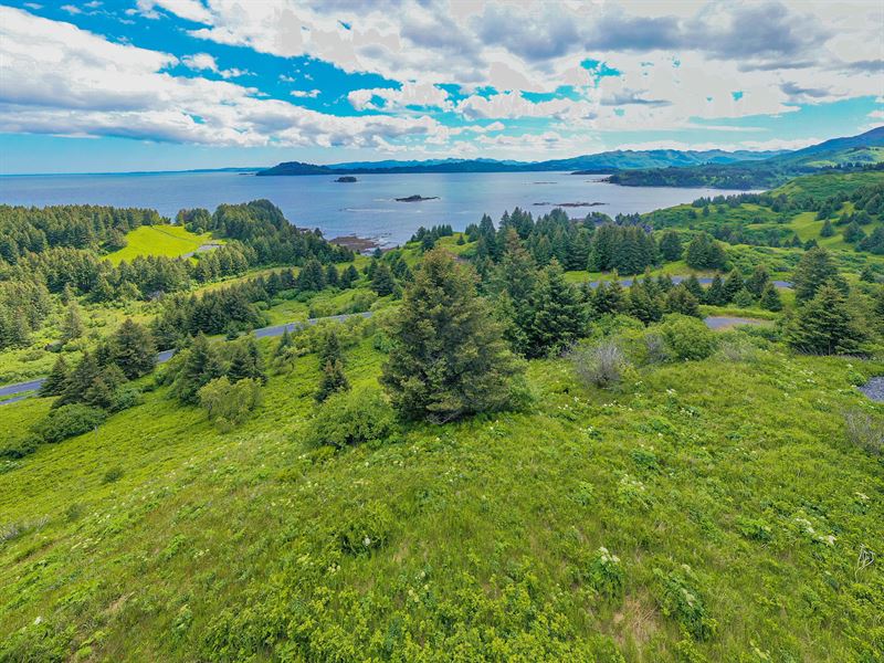 Highliner Lot 5 Cliff Point Estates : Kodiak Island : Kodiak Island Borough : Alaska