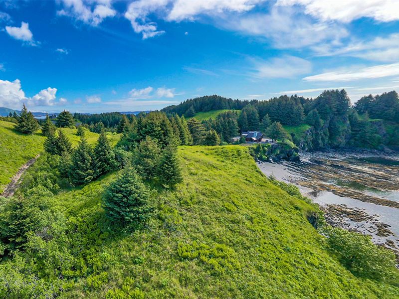 Anchor Cove Lot 4, Cliff Point : Kodiak : Kodiak Island Borough : Alaska