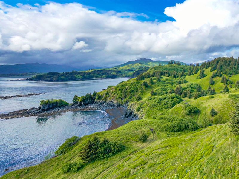 Anchor Cove Lot 3, Cliff Point : Kodiak : Kodiak Island Borough : Alaska
