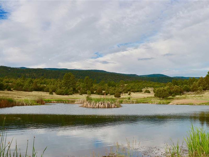 Milligan Brand Ranch : Chama : Rio Arriba County : New Mexico