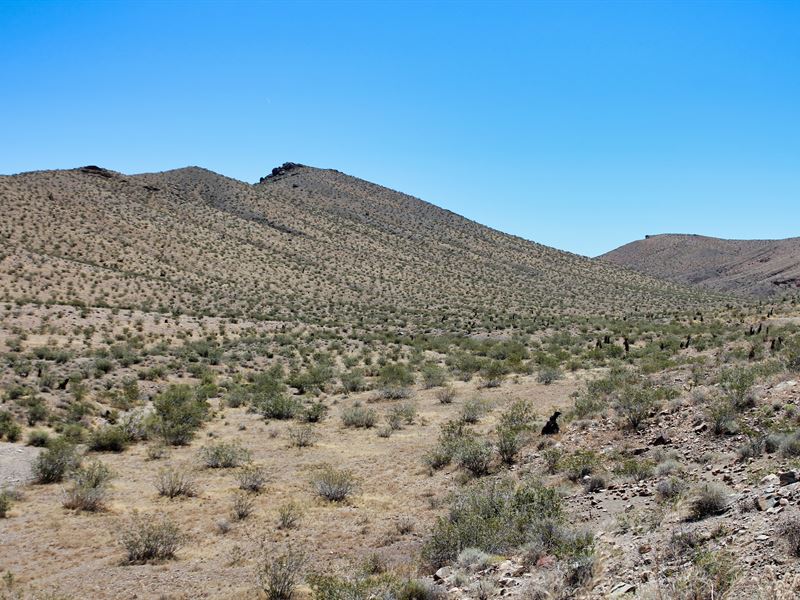 40 Acres for Sale : Barstow : San Bernardino County : California