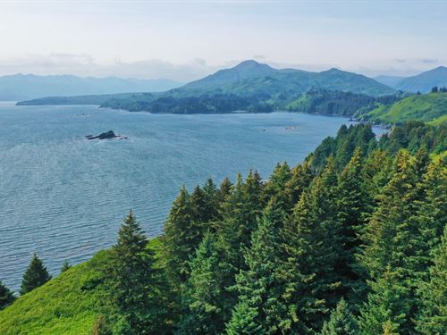 The Point Lot 11 Cliff Point : Kodiak : Kodiak Island Borough : Alaska