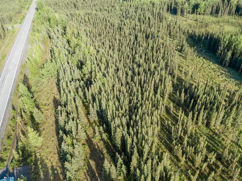Funny River Road Vacant Land 2.53 : Funny River : Kenai Peninsula Borough : Alaska