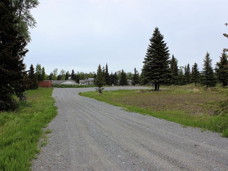 Huge Level Pad with Septic and Elec : Ninilchik : Kenai Peninsula Borough : Alaska