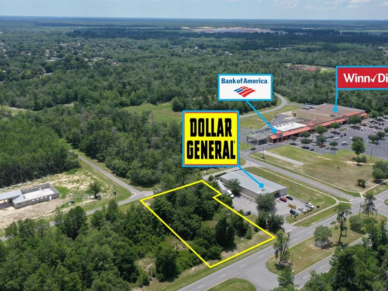 Absolute $1 Auction, Ocala, FL : Ocala : Marion County : Florida