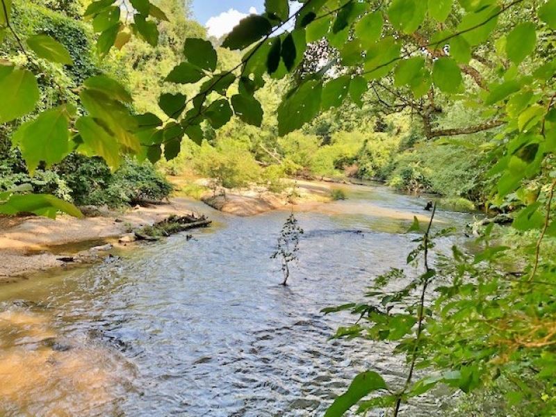 423 Pristine Acres On The Beautiful : McComb : Pike County : Mississippi