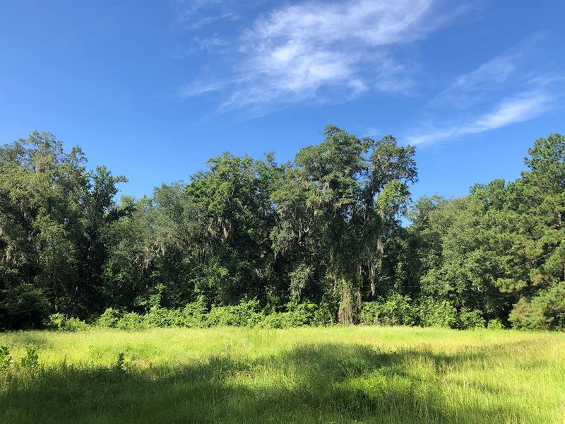 5 Acre Lot in North Central Florida : Lake City : Columbia County : Florida