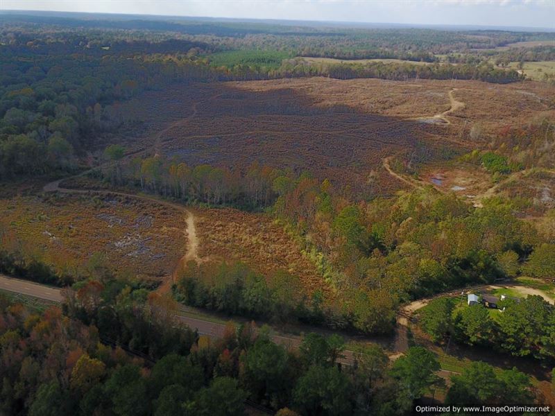 Food Plots, Lake-Site, Deer Tracks : Hazlehurst : Copiah County : Mississippi