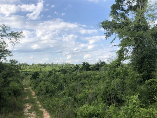 Swanson Development : Perry : Houston County : Georgia