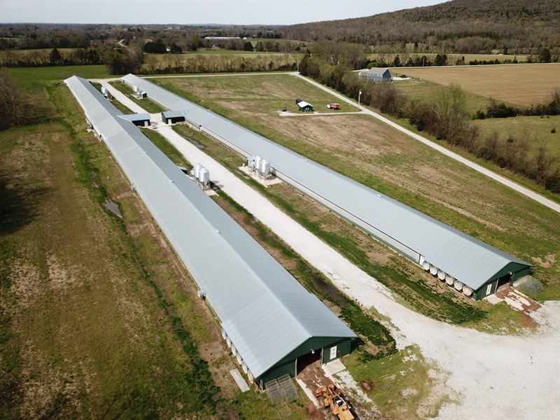 Four House Breeder Farm : Winchester : Franklin County : Tennessee