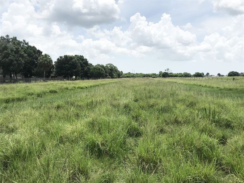 Lush Pasture, Non-Climb Horse Fence : Fort Pierce : Saint Lucie County : Florida