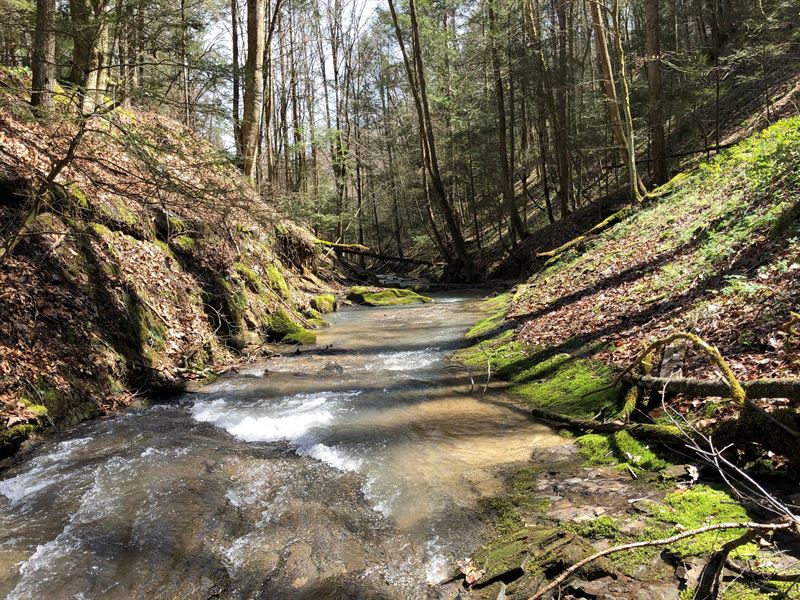 Wapiti Woods : Logan : Logan County : West Virginia