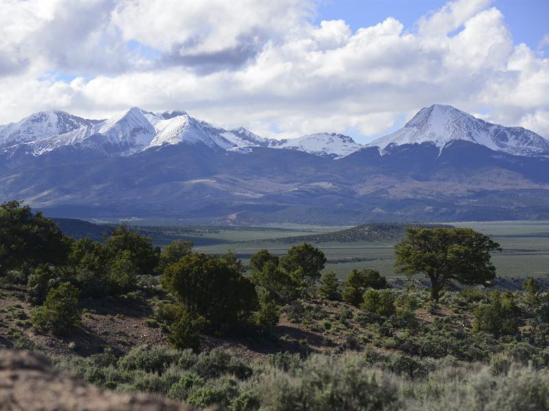 10 Acres in The Sangre DE Cristo, Land for Sale by Owner in Colorado