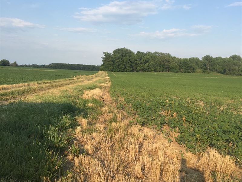 Acreage For Sale Muncie, Indiana Land for Sale in Muncie, Delaware