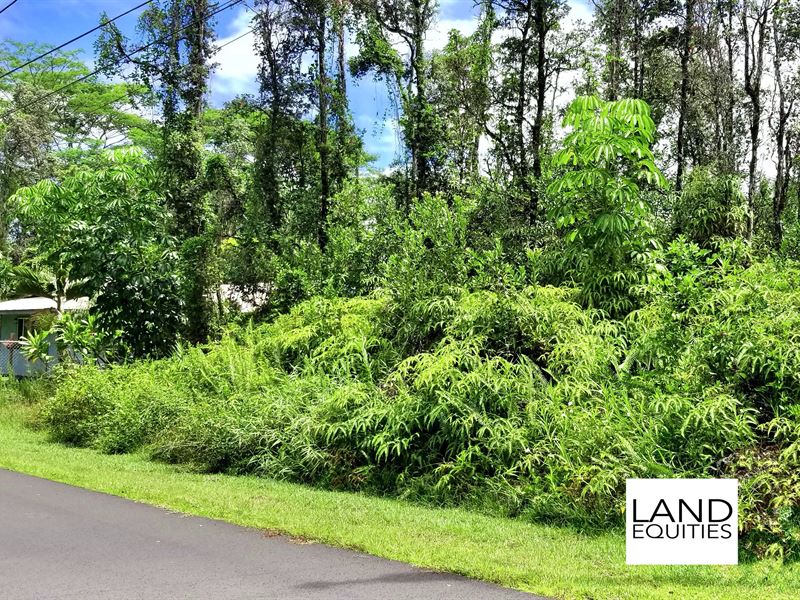 Gorgeous Lot in Prime Location : Pahoa : Hawaii County : Hawaii