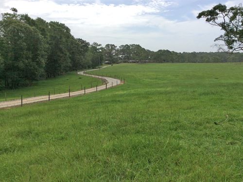 J and K Ranch : Goshen : Pike County : Alabama