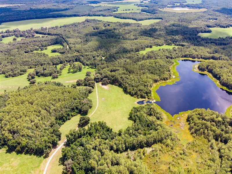 Cattle Ranch Lakes and Trophy Deer : Greenville : Madison County : Florida